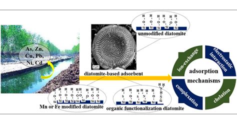 Diatomite: การประยุกต์ใช้ในอุตสาหกรรมและการผลิตที่ยั่งยืน!