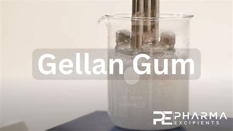  Gellan Gum: สารให้ความหนืดในอุตสาหกรรมอาหารและยา!