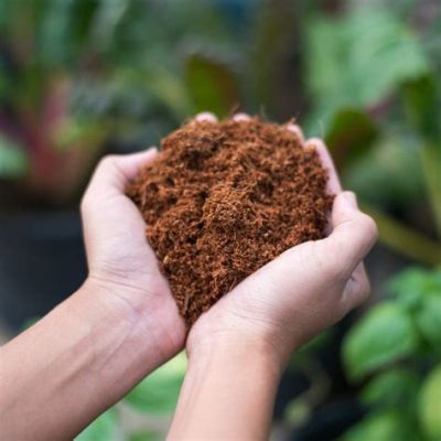  Peat Moss:  Unlocking Sustainable Potting Power for Thriving Green Spaces!