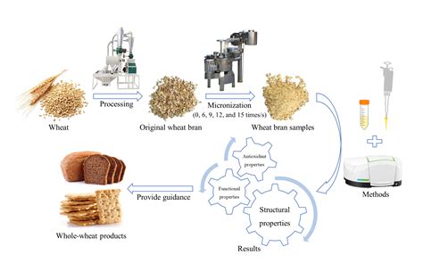  Wheat Bran:  Unlocking Its Versatility as a Functional Food Additive and Sustainable Animal Feed Ingredient!